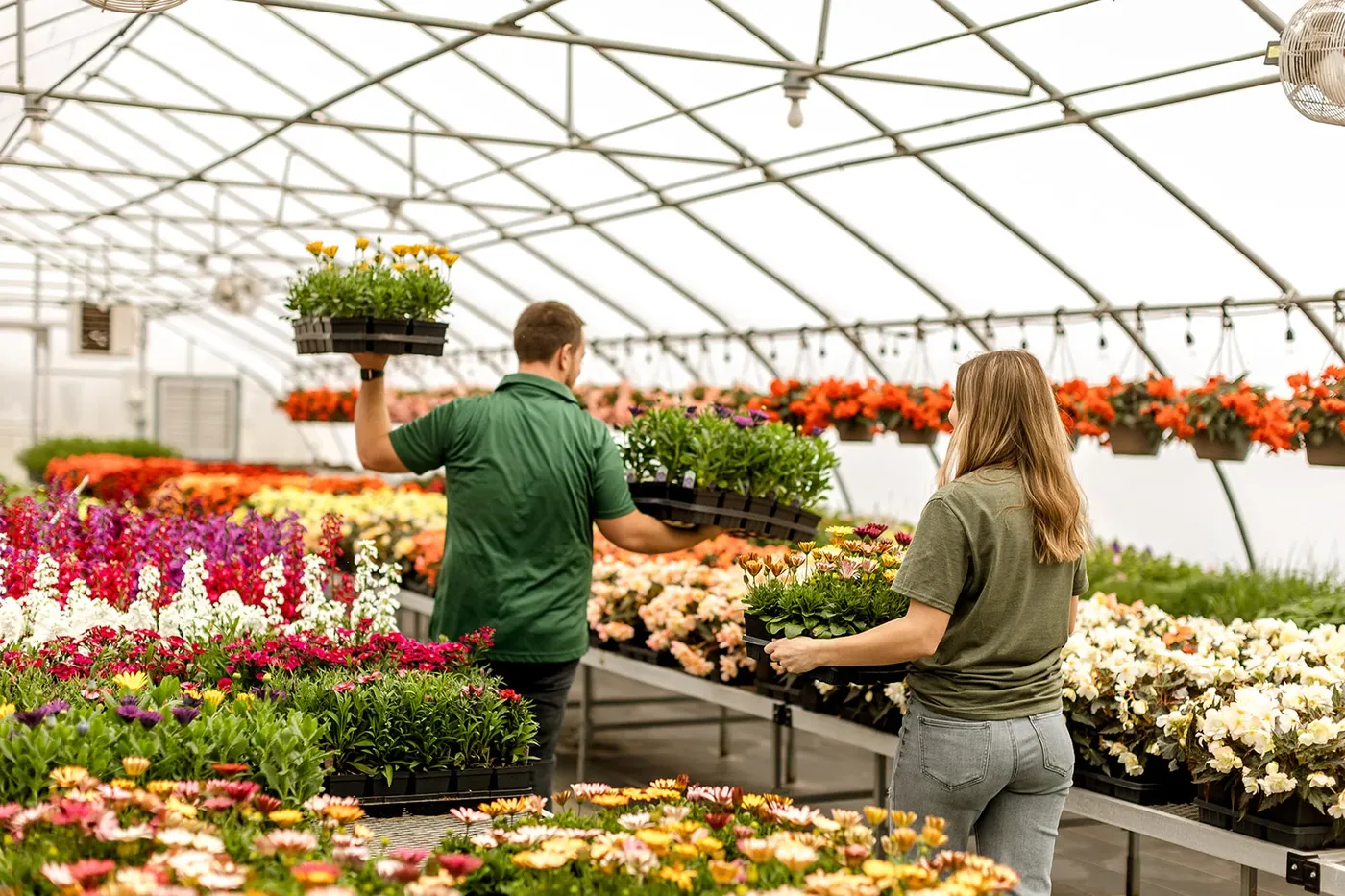 Two of the Goldeman crew carrying flats of flowers through the greenhouse